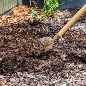 topping up bark on flower beds